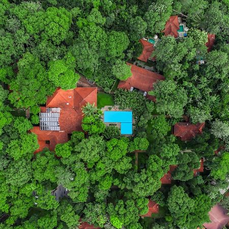 Greenwoods Resort, Thekkady Eksteriør billede